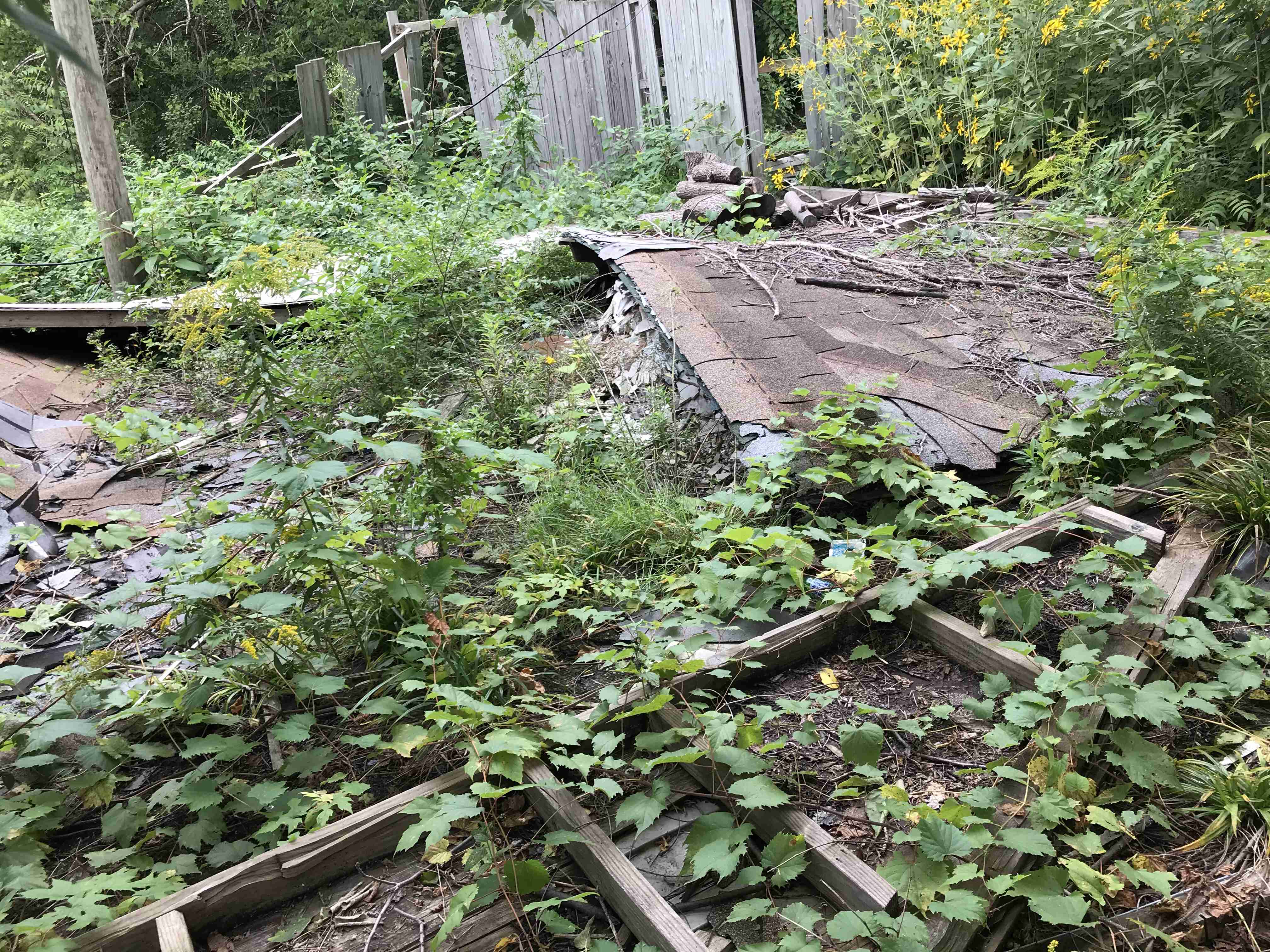 Photo Sep 10, 2 31 28 PM.jpg